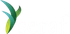 Seraf